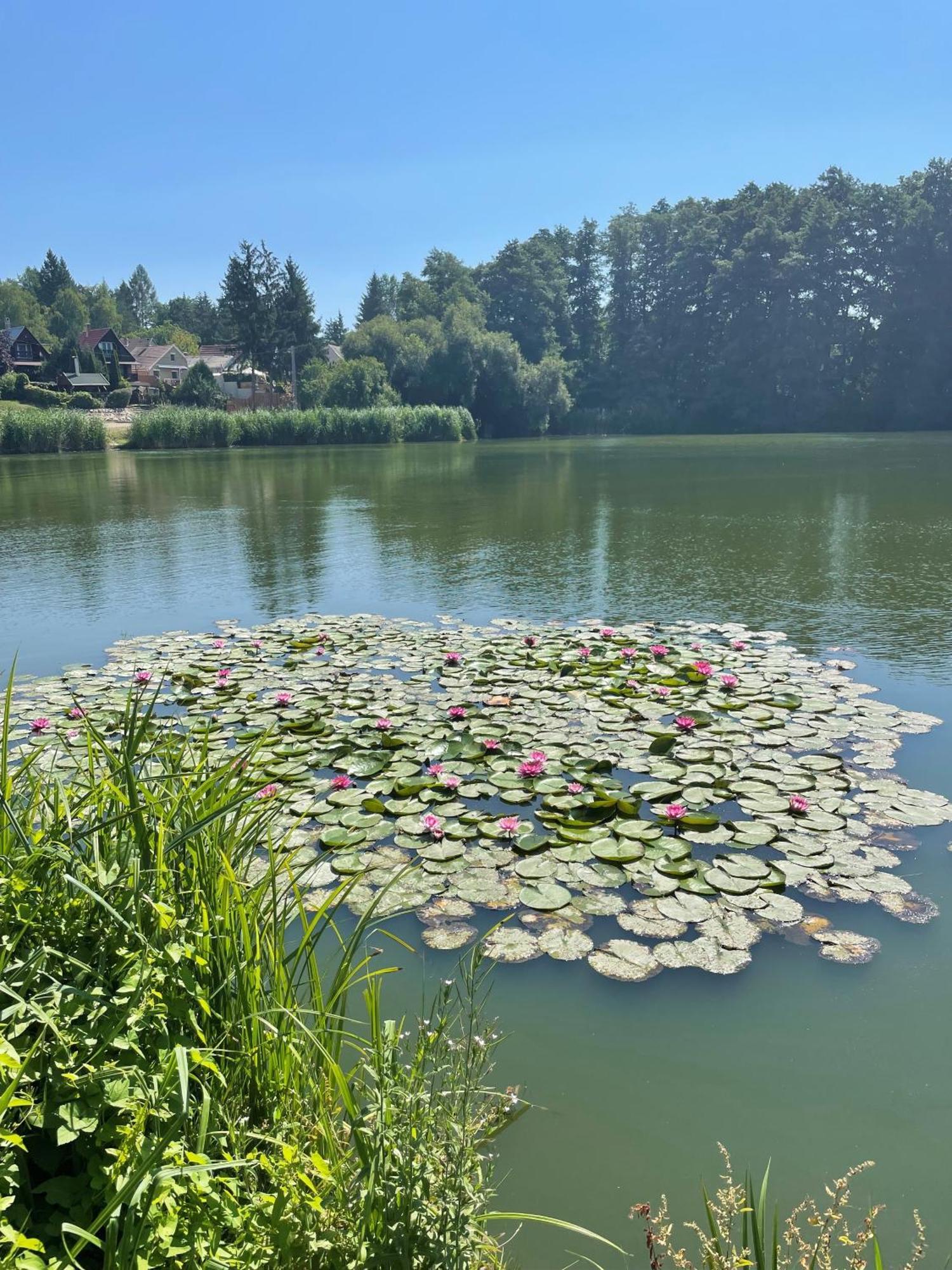 To Kincse Nyirjes Vendeghaz Lägenhet Balassagyarmat Exteriör bild